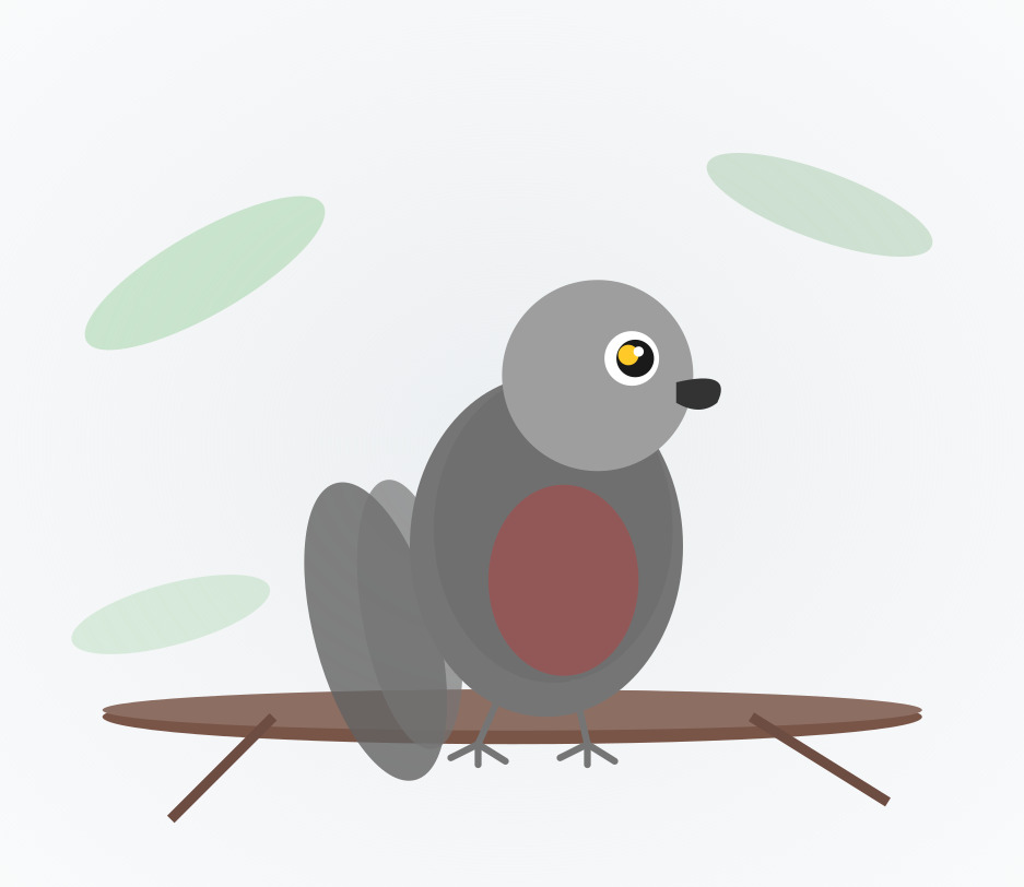 Hand-raised African Grey Parrot for sale from Mo's Birds - DNA-sexed, disease-tested