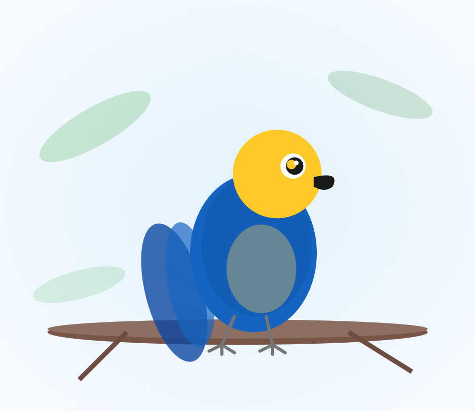 Hand-raised Blue and Gold Macaw for sale from Mo's Birds - DNA-sexed parrot