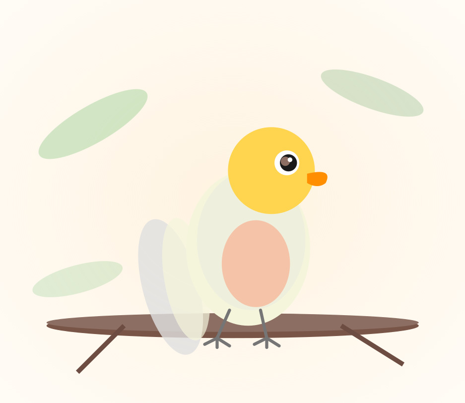 Hand-raised Cockatiel for sale from Mo's Birds - DNA-sexed, disease-tested