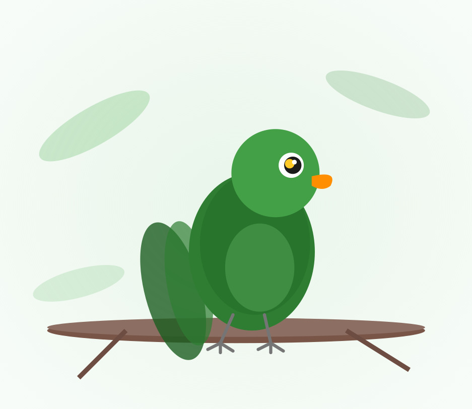 Hand-raised Eclectus Parrot for sale from Mo's Birds - DNA-sexed, disease-tested