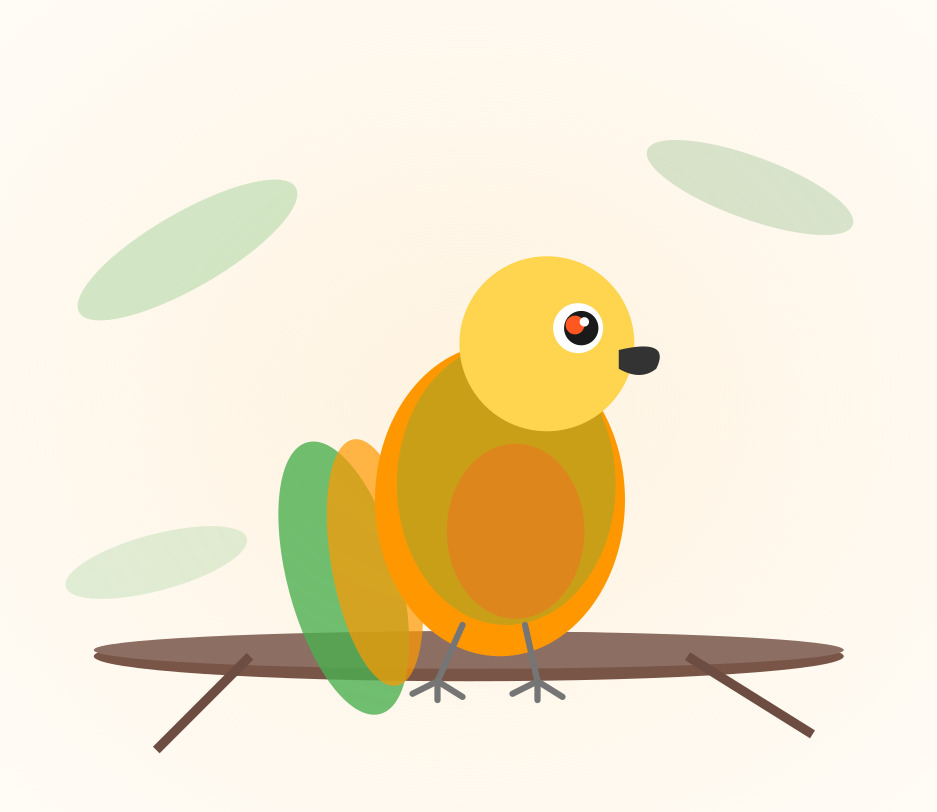 Hand-raised Jenday Conure for sale from Mo's Birds - DNA-sexed parrot