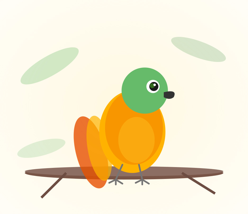 Hand-raised Pineapple Conure for sale from Mo's Birds - DNA-sexed, disease-tested