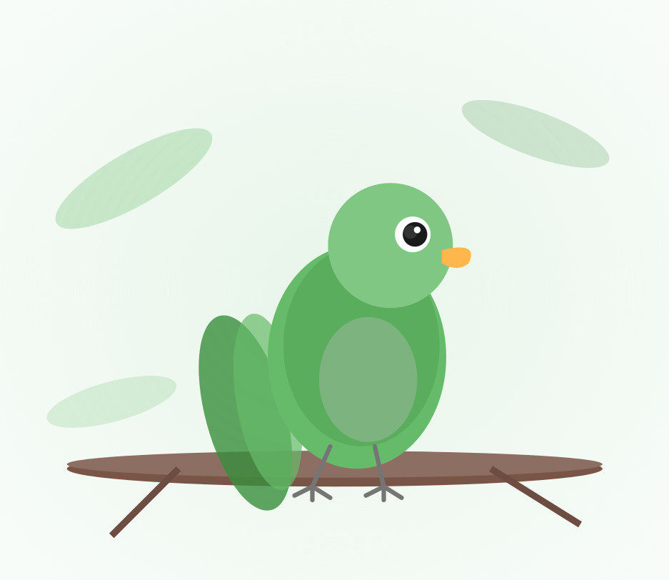 Hand-raised Quaker Parrot for sale from Mo's Birds - DNA-sexed parrot