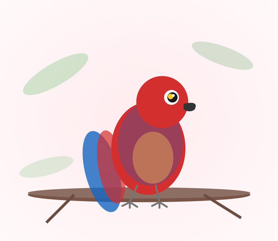 Hand-raised Scarlet Macaw for sale from Mo's Birds - DNA-sexed, disease-tested