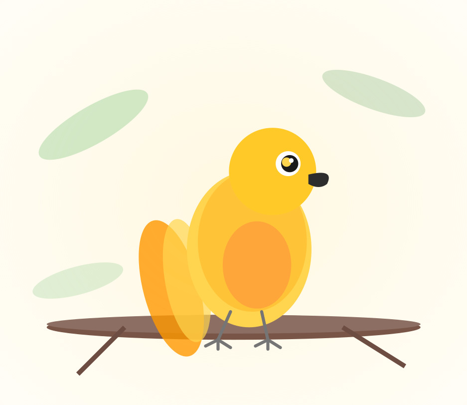 Hand-raised Sun Conure for sale from Mo's Birds - DNA-sexed, disease-tested parrot