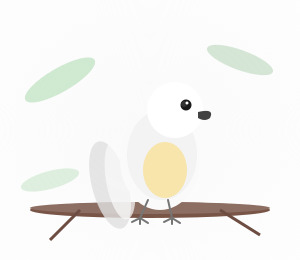 Hand-raised Umbrella Cockatoo for sale from Mo's Birds - DNA-sexed, disease-tested