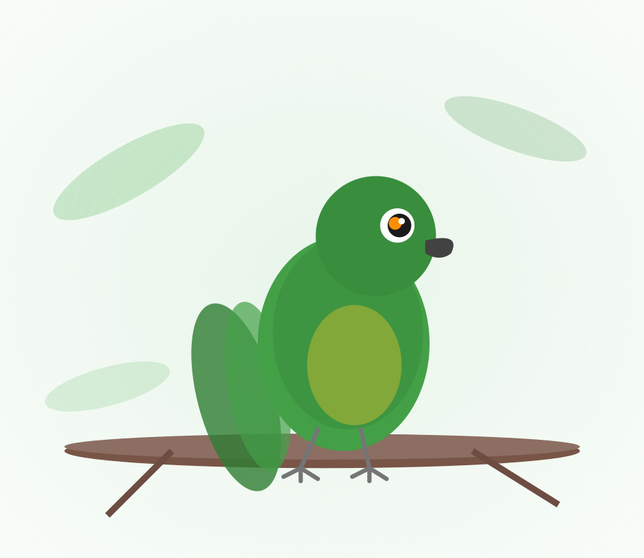 Hand-raised Yellow Nape Amazon Parrot for sale from Mo's Birds - DNA-sexed