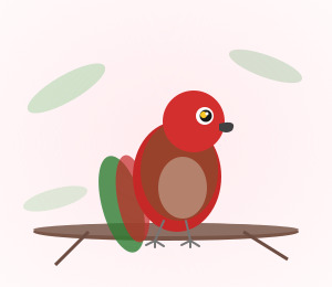 Hand-raised Green Wing Macaw for sale from Mo's Birds - DNA-sexed parrot