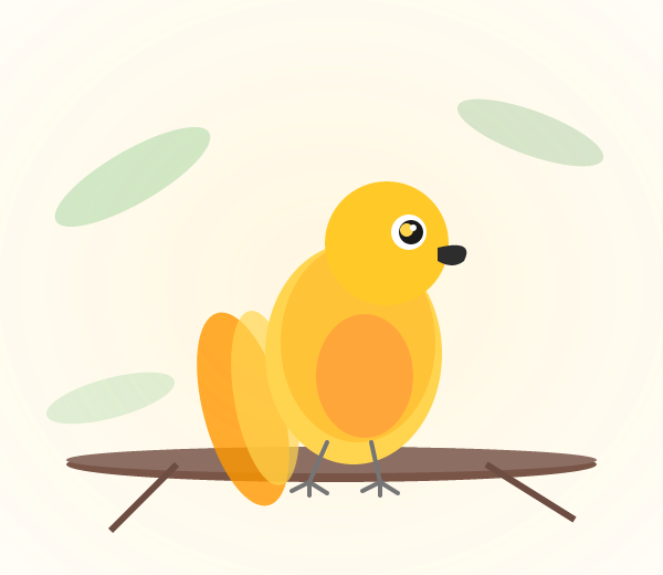 Hand-raised Hybrid Macaw for sale from Mo's Birds - DNA-sexed, disease-tested parrot