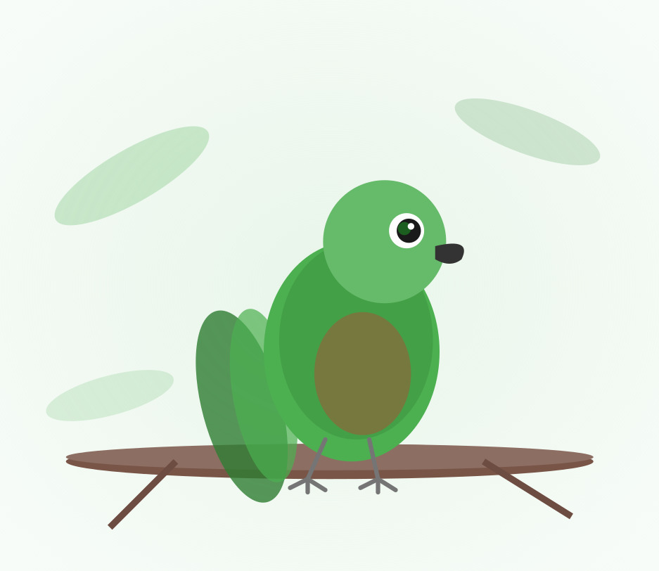 Hand-raised Green Cheek Conure for sale from Mo's Birds - DNA-sexed parrot