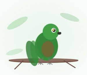 Military Macaw