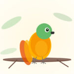 Brown-headed Parrot