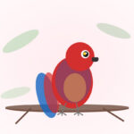 Brown-headed Parrot
